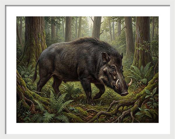 Giant Forest Hog In The Wild
