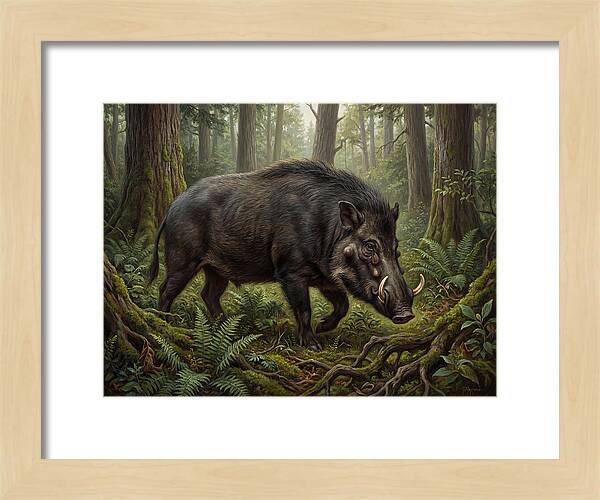 Giant Forest Hog In The Wild