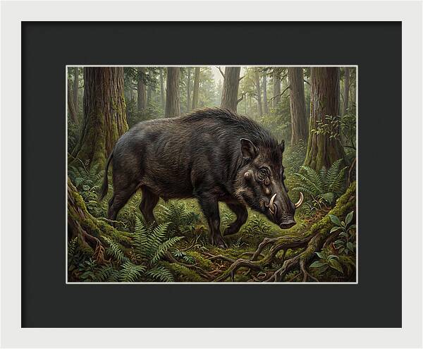 Giant Forest Hog In The Wild