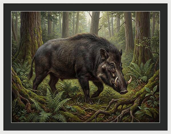 Giant Forest Hog In The Wild