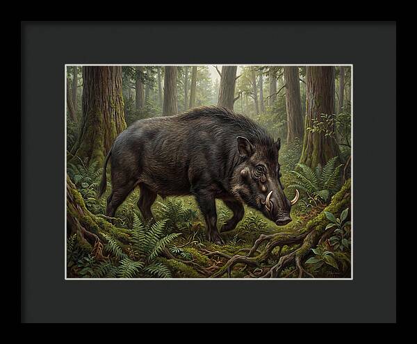 Giant Forest Hog In The Wild