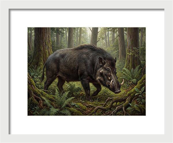 Giant Forest Hog In The Wild