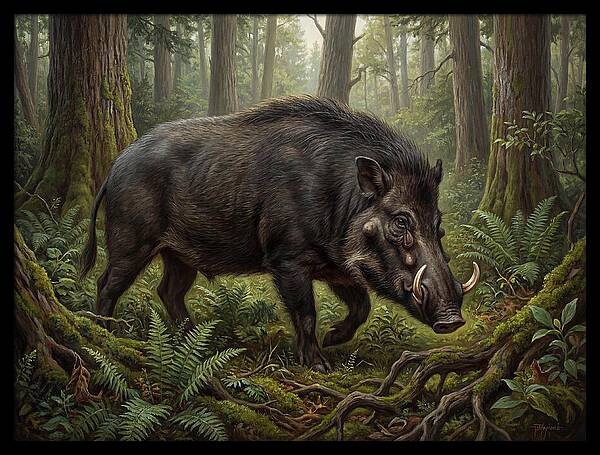 Giant Forest Hog In The Wild