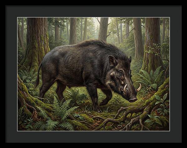 Giant Forest Hog In The Wild