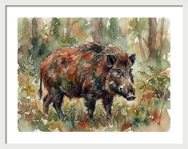 Giant Forest Hog In Watercolor