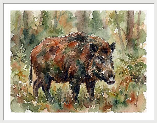 Giant Forest Hog In Watercolor