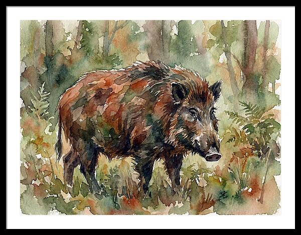Giant Forest Hog In Watercolor