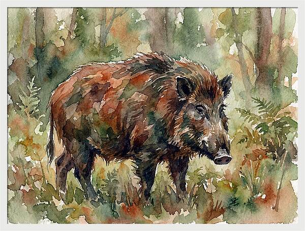 Giant Forest Hog In Watercolor