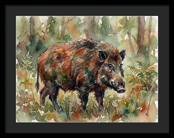Giant Forest Hog In Watercolor
