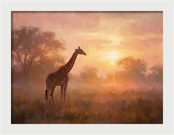 Giraffe At Sunrise