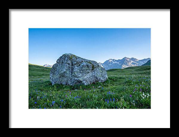 Glacial Erratic Boulder In Green Meadow