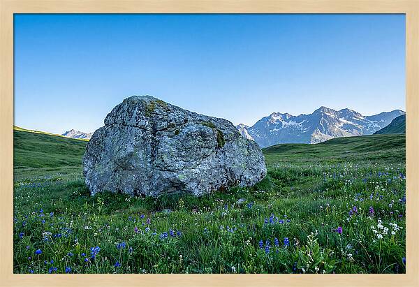 Glacial Erratic Boulder In Green Meadow