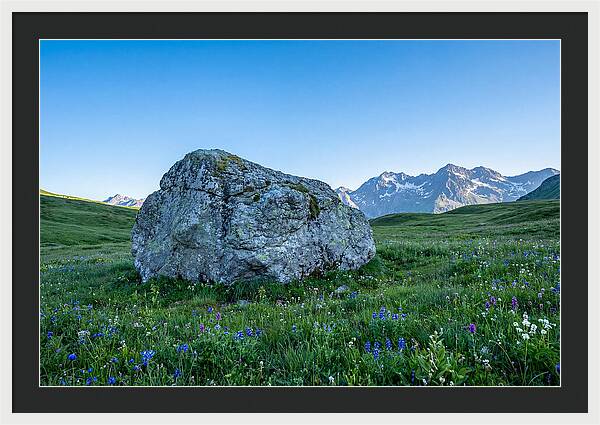 Glacial Erratic Boulder In Green Meadow