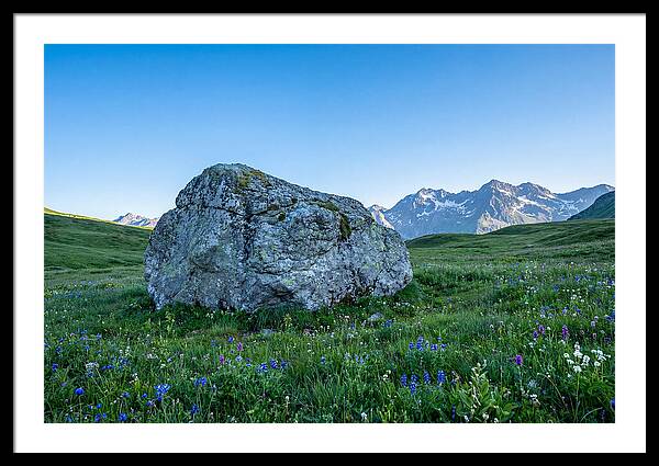 Glacial Erratic Boulder In Green Meadow