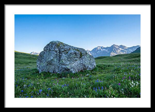 Glacial Erratic Boulder In Green Meadow