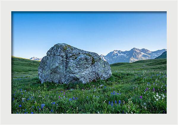 Glacial Erratic Boulder In Green Meadow
