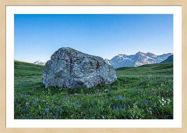 Glacial Erratic Boulder In Green Meadow