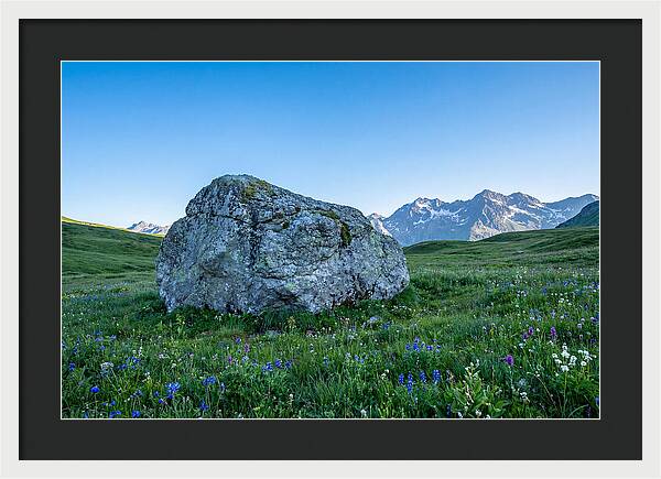 Glacial Erratic Boulder In Green Meadow