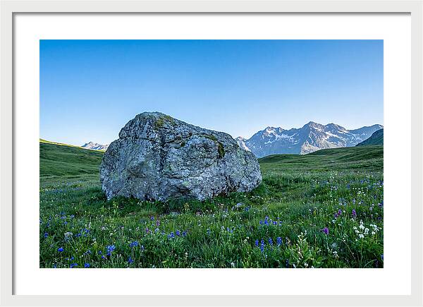 Glacial Erratic Boulder In Green Meadow