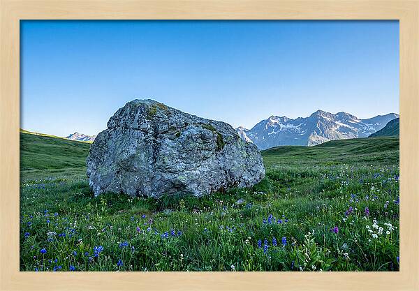 Glacial Erratic Boulder In Green Meadow