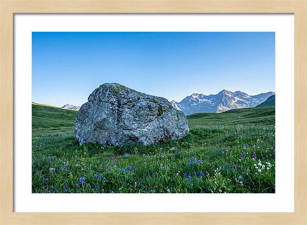 Glacial Erratic Boulder In Green Meadow
