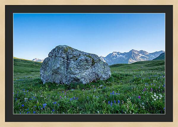 Glacial Erratic Boulder In Green Meadow