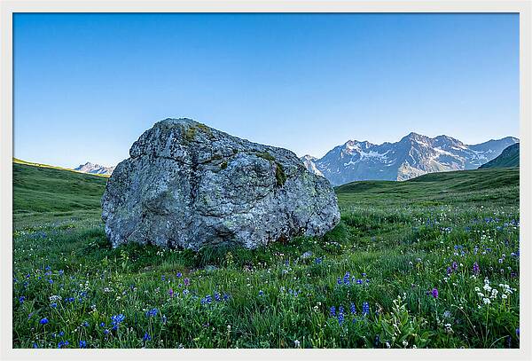 Glacial Erratic Boulder In Green Meadow