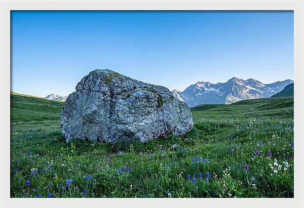 Glacial Erratic Boulder In Green Meadow