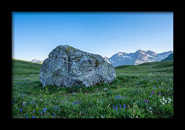 Glacial Erratic Boulder In Green Meadow