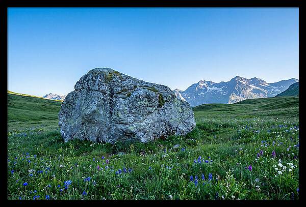 Glacial Erratic Boulder In Green Meadow