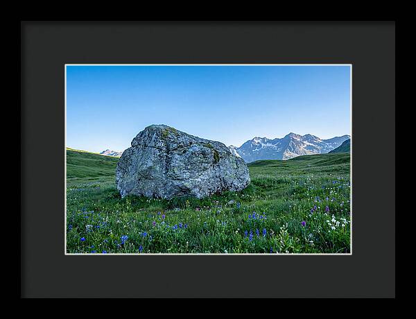 Glacial Erratic Boulder In Green Meadow