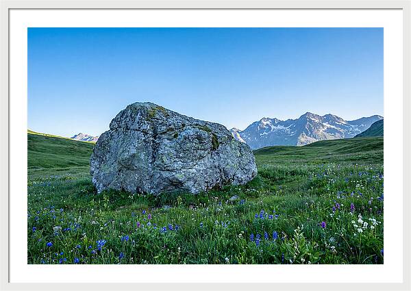 Glacial Erratic Boulder In Green Meadow