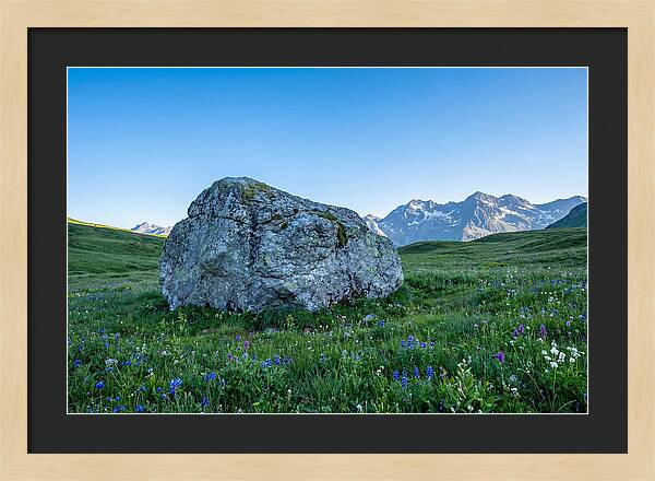 Glacial Erratic Boulder In Green Meadow