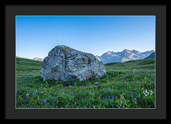 Glacial Erratic Boulder In Green Meadow