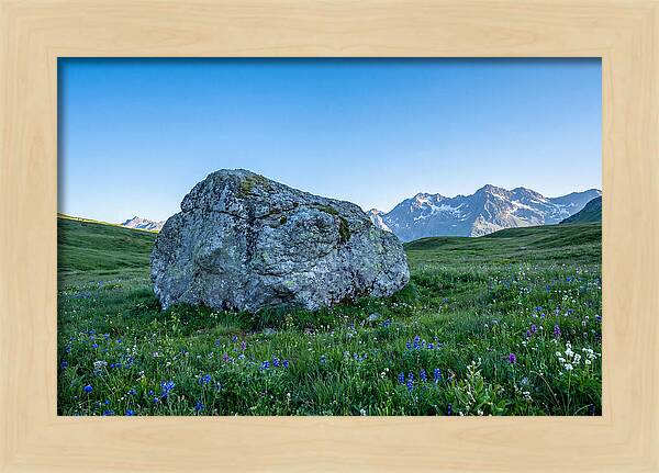 Glacial Erratic Boulder In Green Meadow