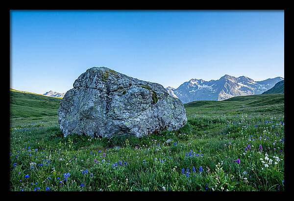 Glacial Erratic Boulder In Green Meadow