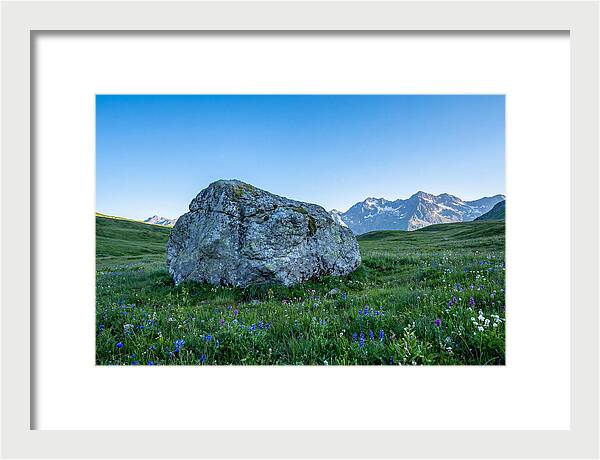 Glacial Erratic Boulder In Green Meadow