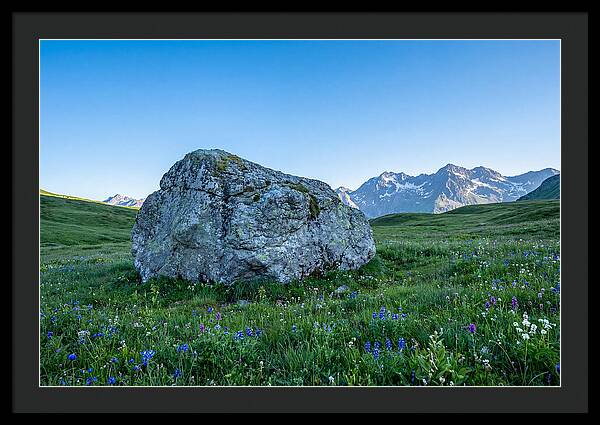Glacial Erratic Boulder In Green Meadow