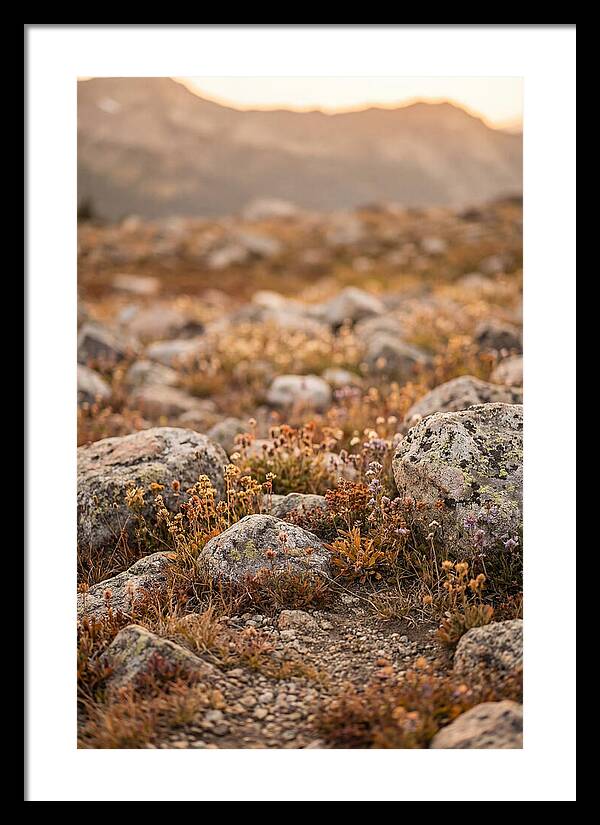 Glacial Moraine Serenity