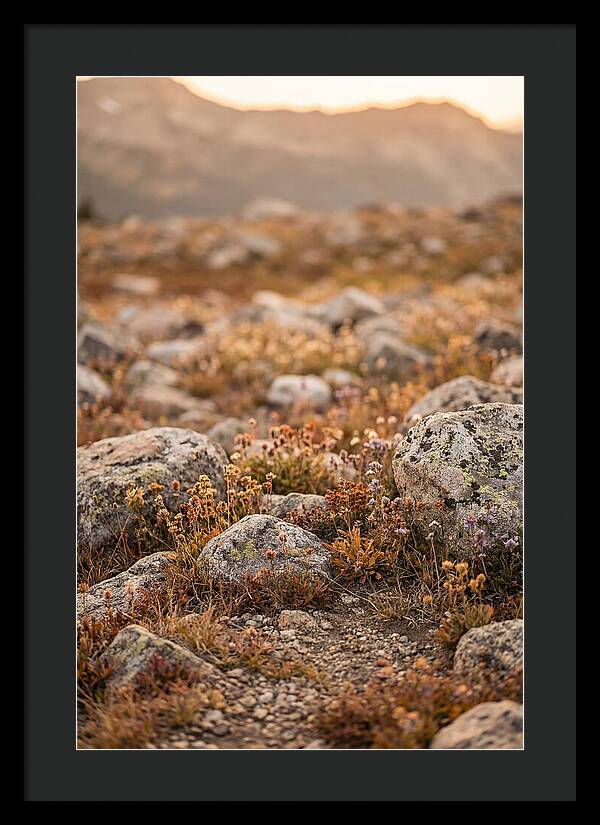 Glacial Moraine Serenity