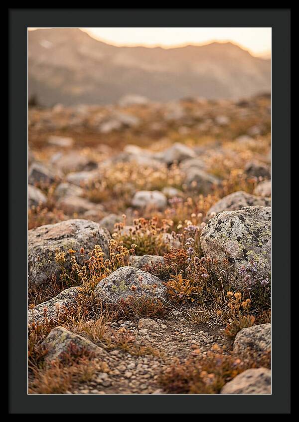 Glacial Moraine Serenity