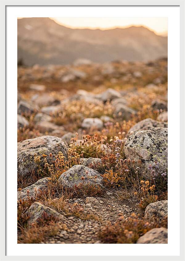 Glacial Moraine Serenity