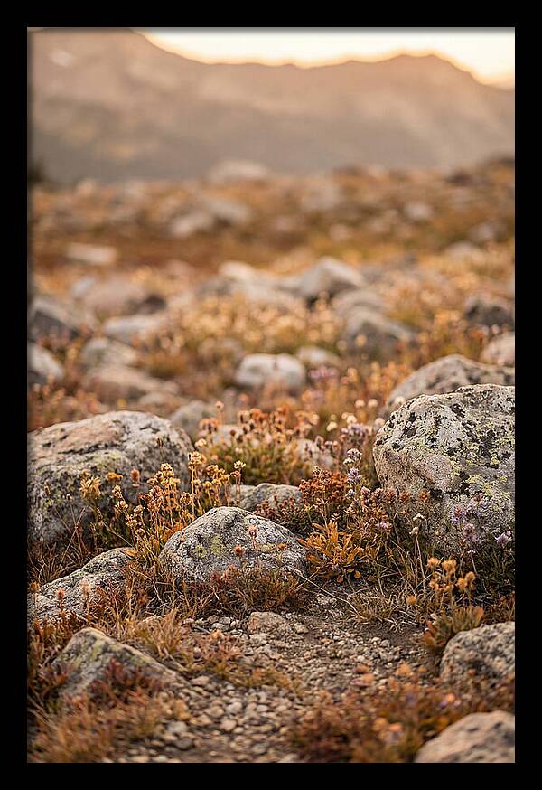 Glacial Moraine Serenity