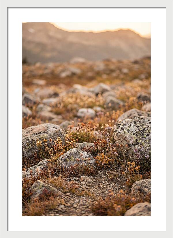 Glacial Moraine Serenity
