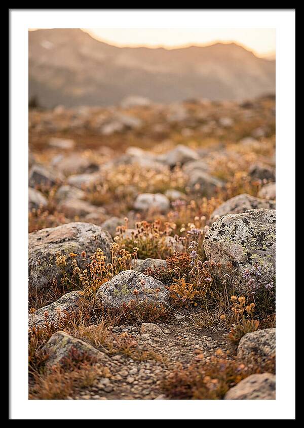 Glacial Moraine Serenity