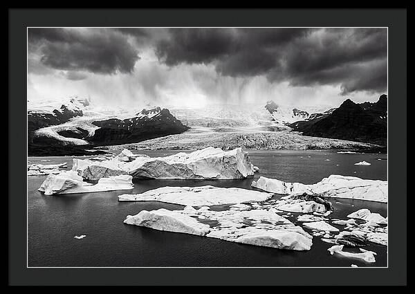 Glacier Bay Fjord Serenity