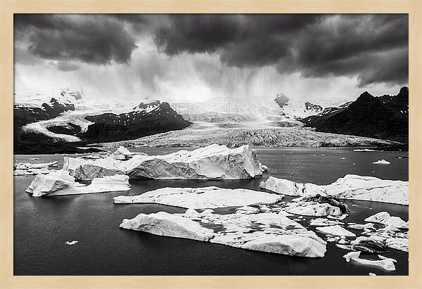 Glacier Bay Fjord Serenity