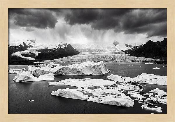 Glacier Bay Fjord Serenity