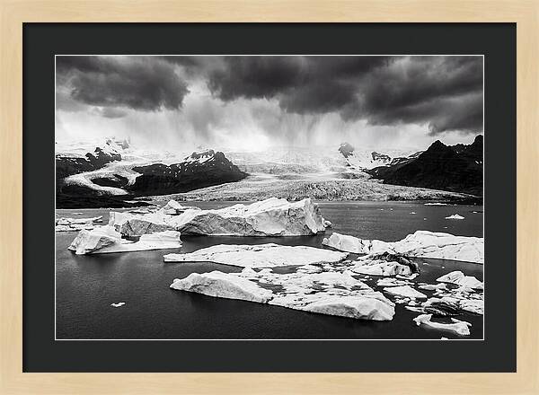 Glacier Bay Fjord Serenity