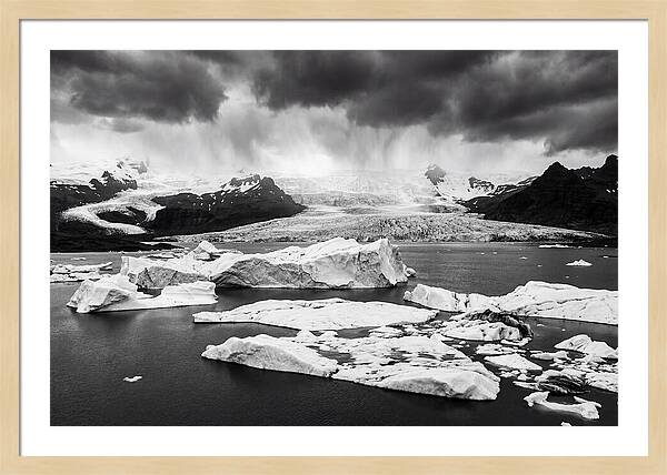 Glacier Bay Fjord Serenity